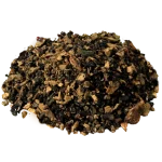 Australian Pine Tree Fruit