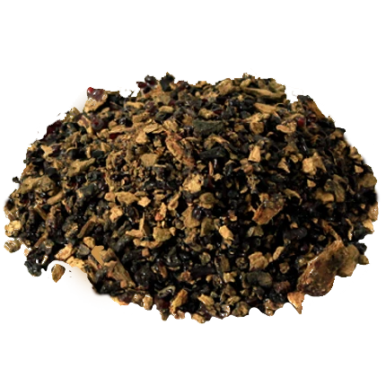 Australian Pine Tree Fruit