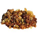 Babool Gum گوندببول