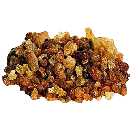 Babool Gum گوندببول