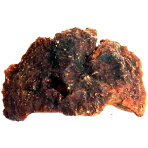 Betel Nut Flower (Gul Supari) گل سپاری