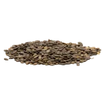 Bitter Apple Seeds (Tukhm-e-Hanzal) تخم حنزل