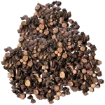 Black Musli (Siyah Musli) سیاہ موصلی